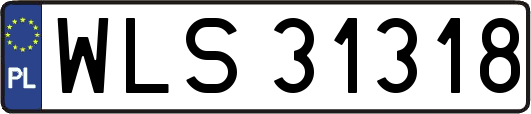 WLS31318