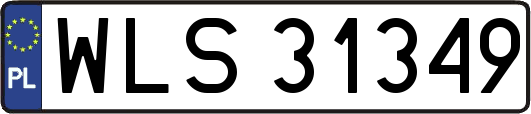 WLS31349