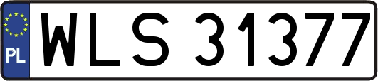WLS31377