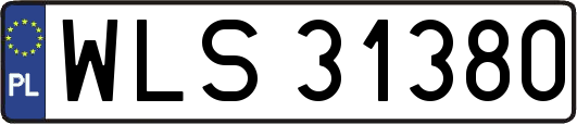 WLS31380