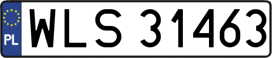 WLS31463