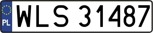WLS31487