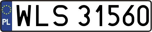 WLS31560
