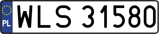 WLS31580