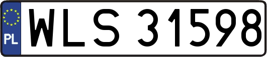 WLS31598
