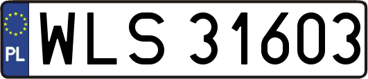WLS31603