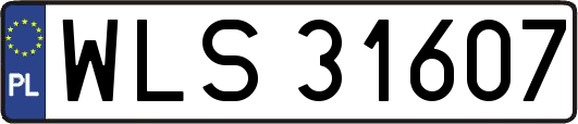 WLS31607