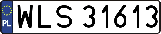 WLS31613