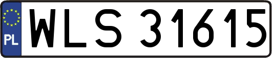 WLS31615