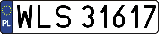 WLS31617