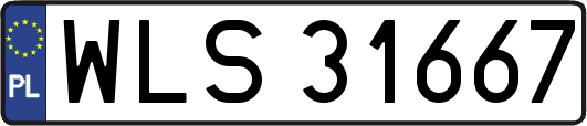 WLS31667