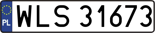 WLS31673