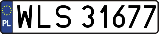WLS31677