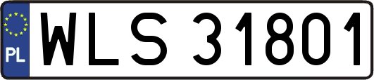 WLS31801