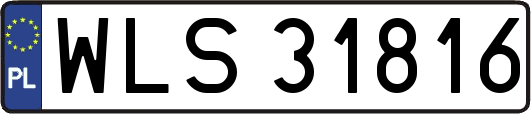 WLS31816