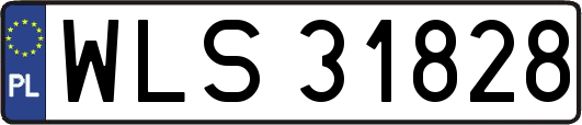 WLS31828
