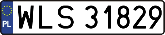 WLS31829