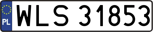 WLS31853