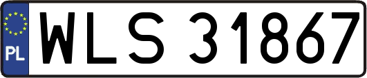 WLS31867