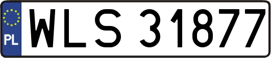 WLS31877