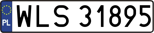 WLS31895