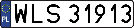 WLS31913