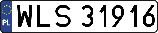 WLS31916