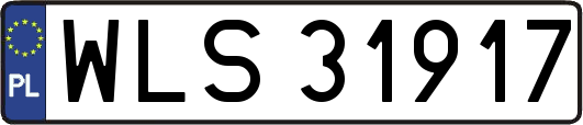 WLS31917