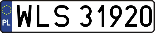 WLS31920