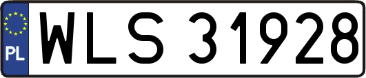 WLS31928