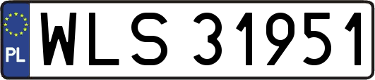 WLS31951