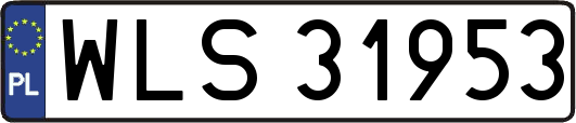 WLS31953