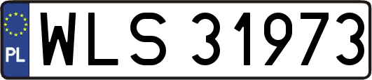 WLS31973