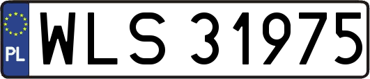 WLS31975