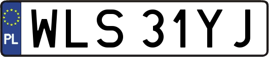 WLS31YJ