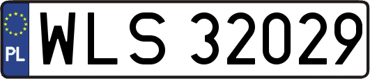 WLS32029