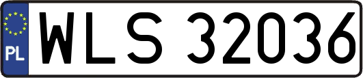 WLS32036