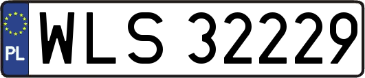 WLS32229