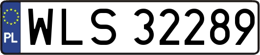 WLS32289