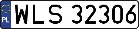 WLS32306