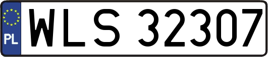 WLS32307