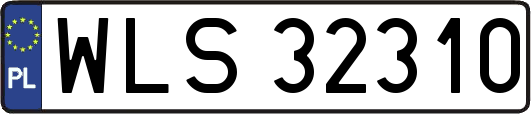 WLS32310