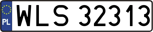 WLS32313