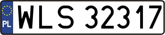 WLS32317