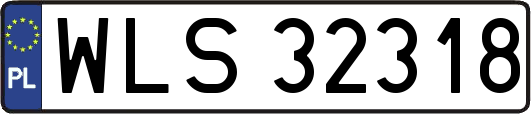 WLS32318