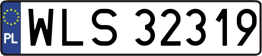 WLS32319