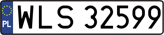 WLS32599