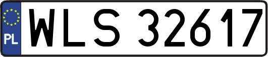 WLS32617