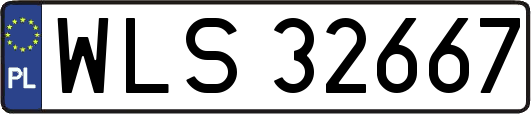 WLS32667
