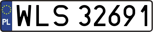 WLS32691